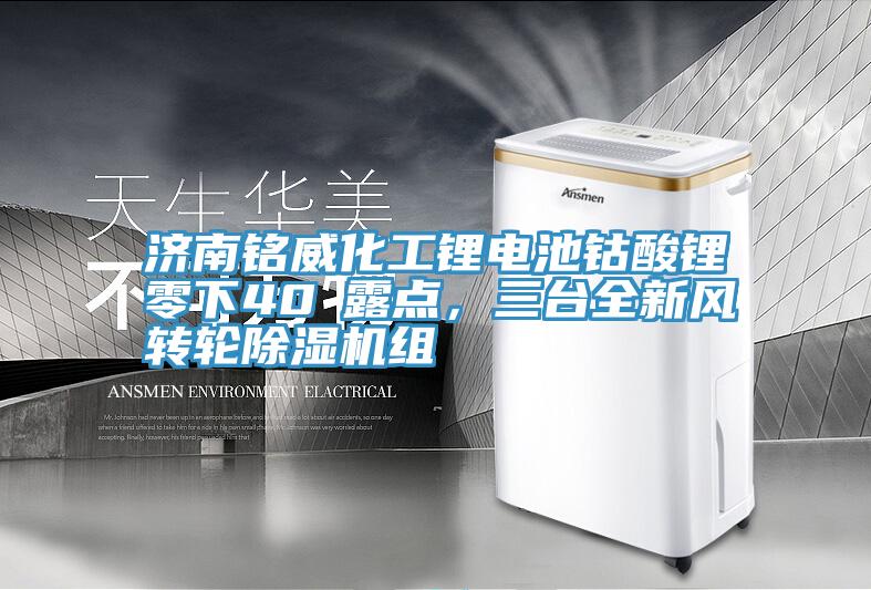 濟(jì)南銘威化工鋰電池鈷酸鋰零下40℃露點(diǎn)，三臺全新風(fēng)轉(zhuǎn)輪除濕機(jī)組