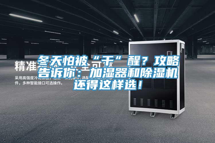 冬天怕被“干”醒？攻略告訴你：加濕器和除濕機還得這樣選！