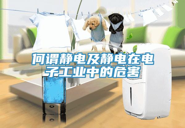 何謂靜電及靜電在電子工業(yè)中的危害