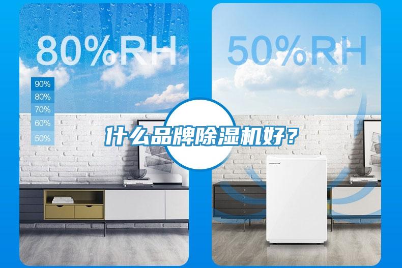 什么品牌除濕機(jī)好？