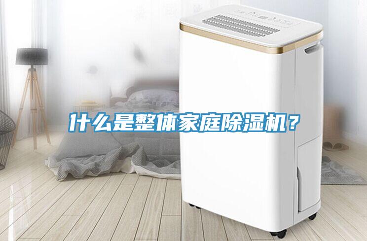 什么是整體家庭除濕機？