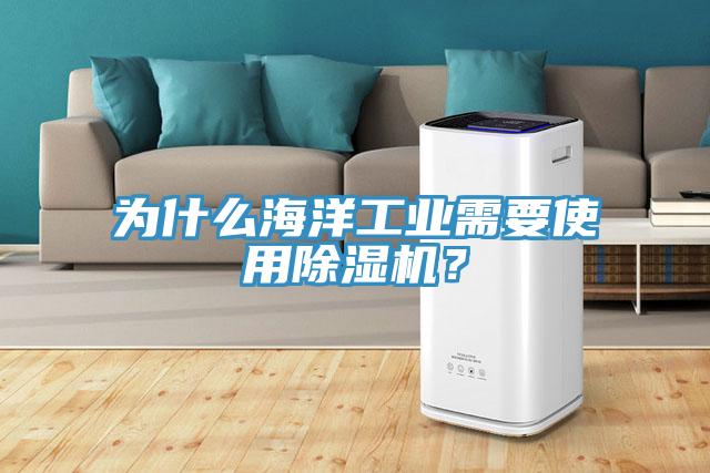 為什么海洋工業(yè)需要使用除濕機？