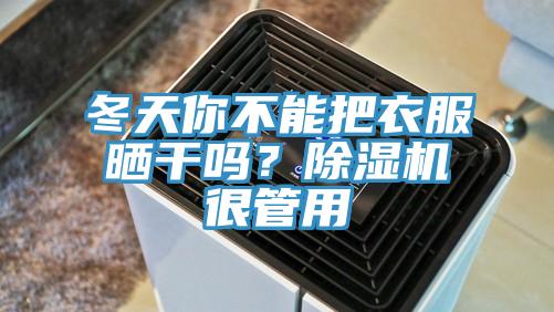 冬天你不能把衣服曬干嗎？除濕機很管用