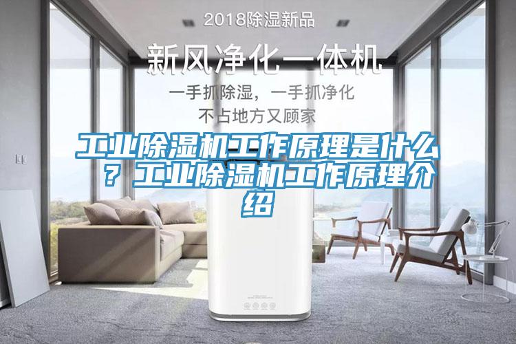 工業(yè)除濕機工作原理是什么 ？工業(yè)除濕機工作原理介紹