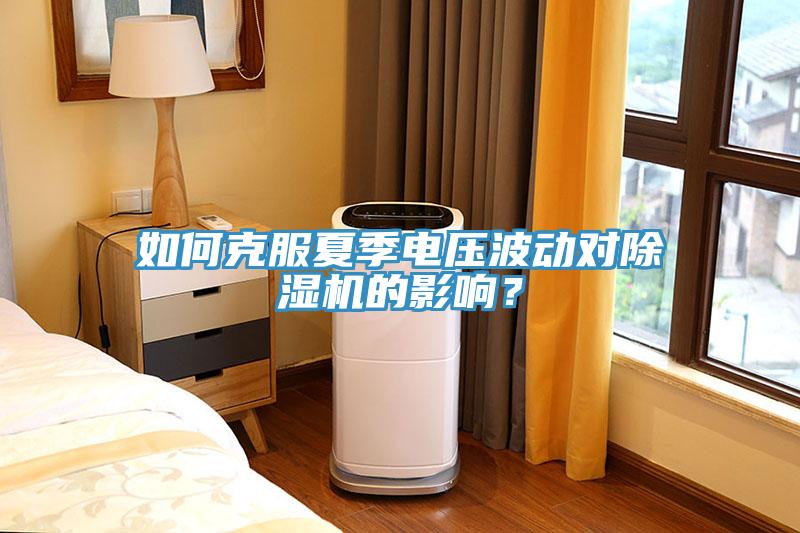 如何克服夏季電壓波動對除濕機的影響？