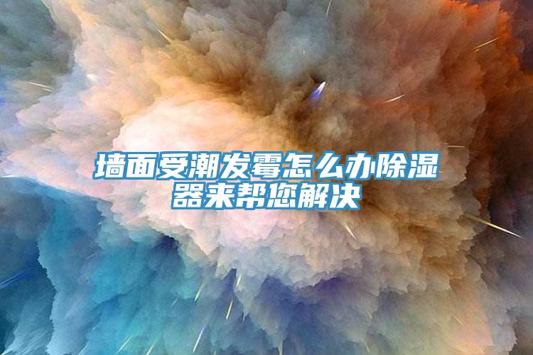 墻面受潮發(fā)霉怎么辦除濕器來(lái)幫您解決