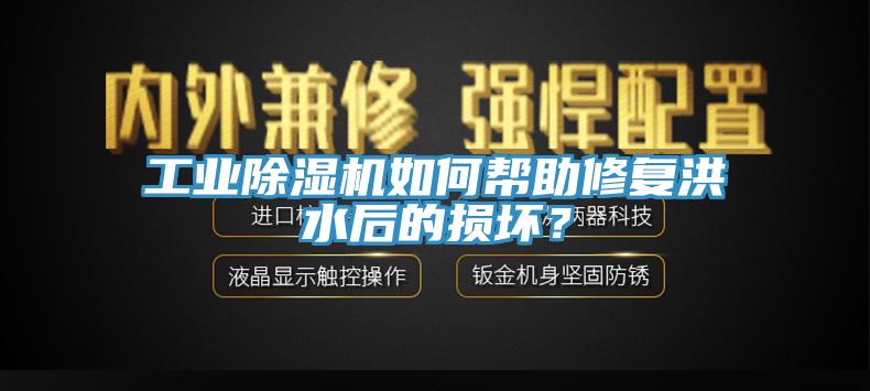 工業(yè)除濕機(jī)如何幫助修復(fù)洪水后的損壞？