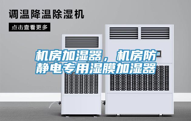 機(jī)房加濕器，機(jī)房防靜電專用濕膜加濕器