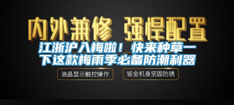 江浙滬入梅啦！快來種草一下這款梅雨季必備防潮利器