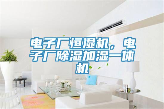 電子廠恒濕機，電子廠除濕加濕一體機