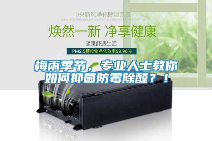 梅雨季節(jié)，專業(yè)人士教你如何抑菌防霉除醛？！