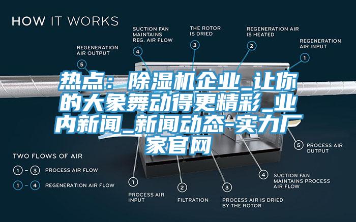 熱點：除濕機企業(yè)_讓你的大象舞動得更精彩_業(yè)內(nèi)新聞_新聞動態(tài)-實力廠家官網(wǎng)