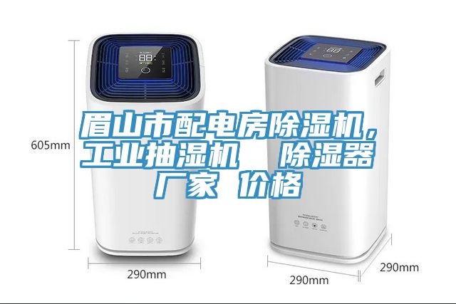 眉山市配電房除濕機(jī)，工業(yè)抽濕機(jī)  除濕器廠家 價(jià)格