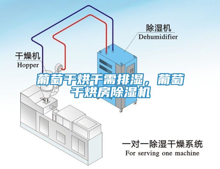 葡萄干烘干需排濕，葡萄干烘房除濕機