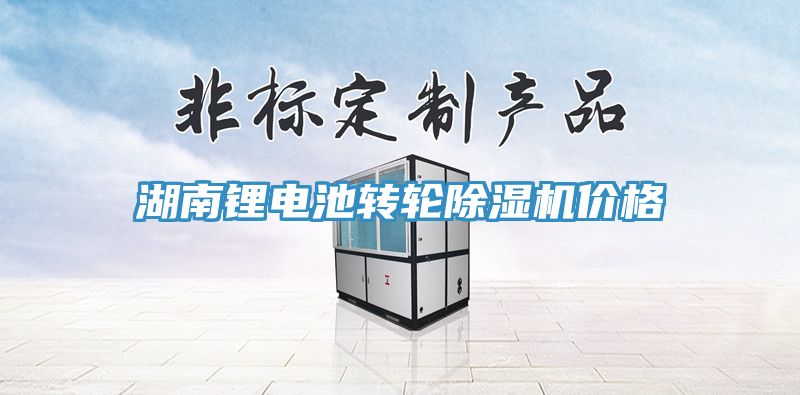 湖南鋰電池轉(zhuǎn)輪除濕機(jī)價(jià)格