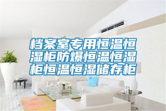 檔案室專用恒溫恒濕柜防爆恒溫恒濕柜恒溫恒濕儲(chǔ)存柜