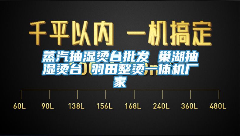 蒸汽抽濕燙臺批發(fā) 巢湖抽濕燙臺 羽田整燙一體機廠家