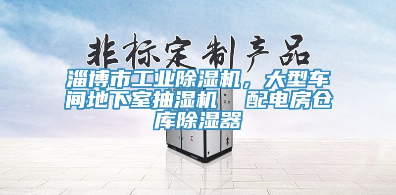 淄博市工業(yè)除濕機(jī)，大型車(chē)間地下室抽濕機(jī)  配電房倉(cāng)庫(kù)除濕器