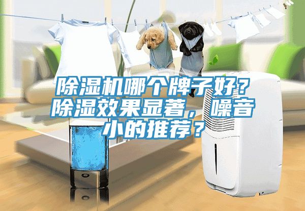 除濕機哪個牌子好？除濕效果顯著，噪音小的推薦？