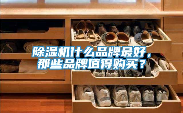 除濕機什么品牌最好，那些品牌值得購買？