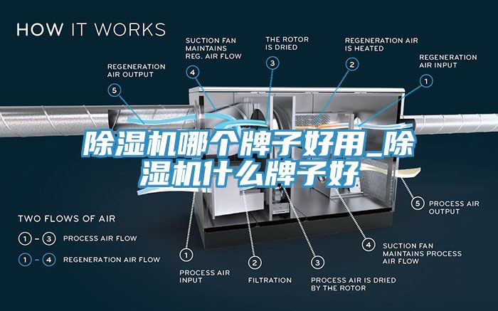 除濕機(jī)哪個牌子好用_除濕機(jī)什么牌子好