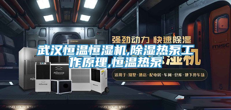 武漢恒溫恒濕機,除濕熱泵工作原理,恒溫?zé)岜?></div>
								<div   id=