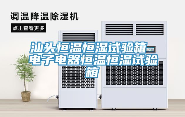 汕頭恒溫恒濕試驗(yàn)箱 電子電器恒溫恒濕試驗(yàn)箱