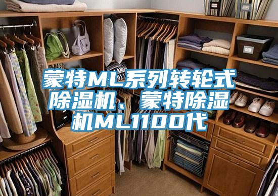 蒙特ML系列轉輪式除濕機、蒙特除濕機ML1100代