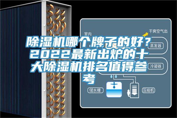 除濕機哪個牌子的好？2022最新出爐的十大除濕機排名值得參考