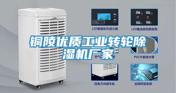 銅陵優(yōu)質工業(yè)轉輪除濕機廠家