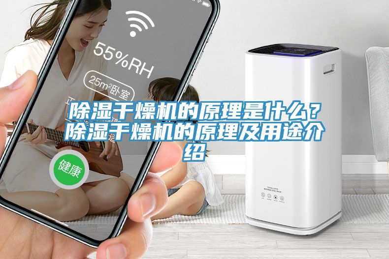 除濕干燥機的原理是什么？除濕干燥機的原理及用途介紹