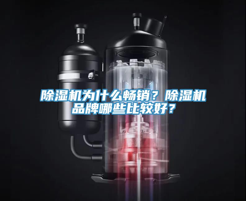 除濕機(jī)為什么暢銷(xiāo)？除濕機(jī)品牌哪些比較好？