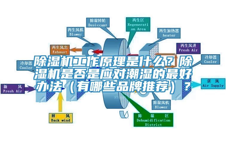 除濕機(jī)工作原理是什么？除濕機(jī)是否是應(yīng)對潮濕的最好辦法（有哪些品牌推薦）？