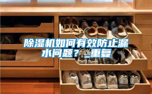 除濕機如何有效防止漏水問題？_重復