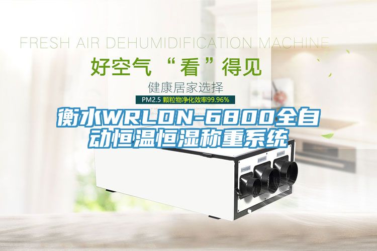 衡水WRLDN-6800全自動(dòng)恒溫恒濕稱(chēng)重系統(tǒng)