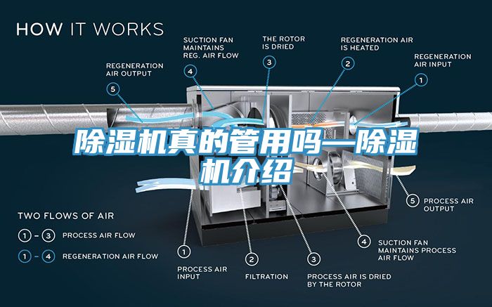 除濕機真的管用嗎—除濕機介紹