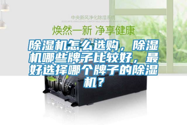 除濕機怎么選購，除濕機哪些牌子比較好，最好選擇哪個牌子的除濕機？