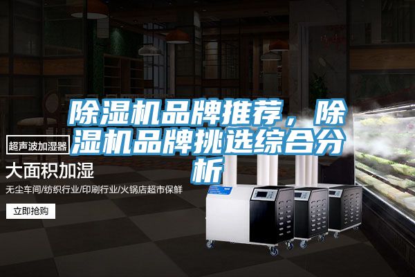 除濕機品牌推薦，除濕機品牌挑選綜合分析