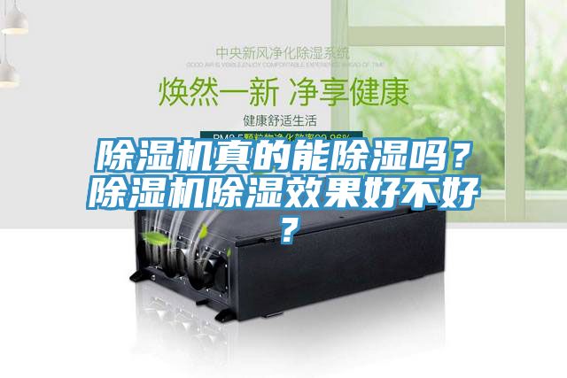 除濕機真的能除濕嗎？除濕機除濕效果好不好？