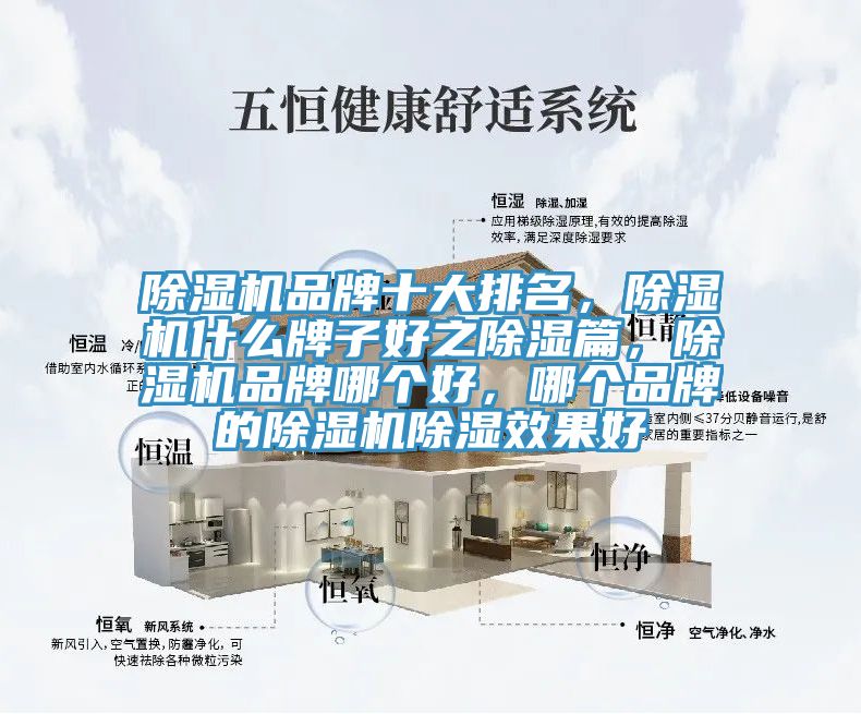 除濕機(jī)品牌十大排名，除濕機(jī)什么牌子好之除濕篇，除濕機(jī)品牌哪個(gè)好，哪個(gè)品牌的除濕機(jī)除濕效果好