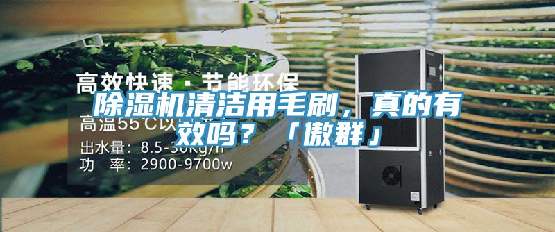 除濕機(jī)清潔用毛刷，真的有效嗎？「傲群」