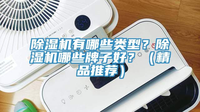 除濕機有哪些類型？除濕機哪些牌子好？（精品推薦）