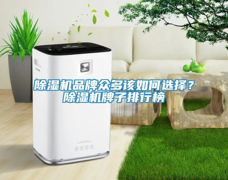 除濕機品牌眾多該如何選擇？除濕機牌子排行榜