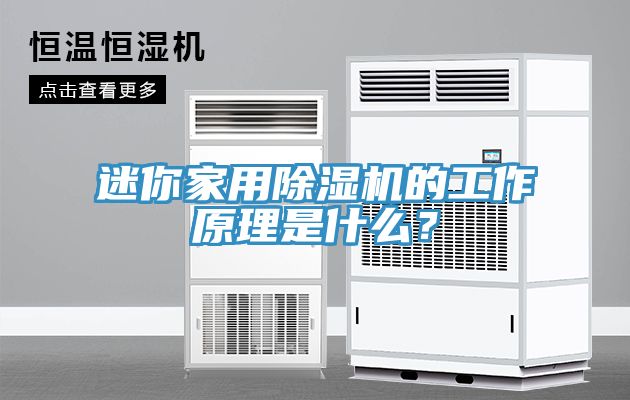 迷你家用除濕機的工作原理是什么？