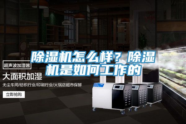 除濕機怎么樣？除濕機是如何工作的