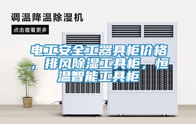 電工安全工器具柜價格，排風(fēng)除濕工具柜，恒溫智能工具柜