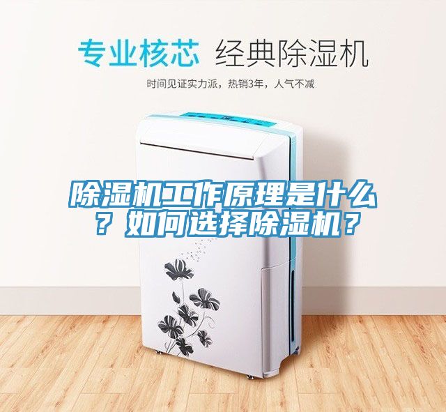 除濕機(jī)工作原理是什么？如何選擇除濕機(jī)？