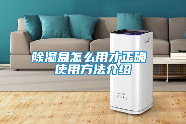 除濕盒怎么用才正確 使用方法介紹