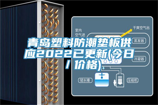 青島塑料防潮墊板供應2022已更新(今日／價格)