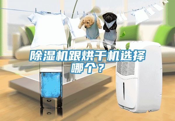 除濕機跟烘干機選擇哪個？